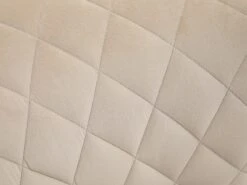 Adele Armchair In Cream Beige / Black Velvet With Gold Legs -Home Furnishings Store ADELE AC BEIGE5