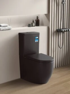 Poseidon Veda Tornado Matte Black Toilet Suite -Home Furnishings Store KDK025 SC804MB