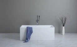 Poseidon Theo Back To Wall Bathtub/ Non Overflow -Home Furnishings Store L81A7167 scaled 1