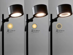 Nordlux Clyde | Wall Light | Black -Home Furnishings Store MClyde2010821003 2