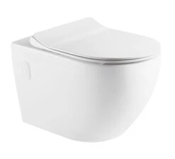 Raul99 Rimless Wall Faced Floor Toilet Pan