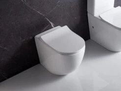 Raul99 Rimless Wall Faced Floor Toilet Pan -Home Furnishings Store RAWFP 6 scaled 600x450 1