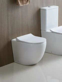 Raul99 Rimless Wall Faced Floor Toilet Pan -Home Furnishings Store RAWFP 7 scaled 600x800 c93aca25 11ec 4735 af32 d79efdd25dd1