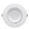SHOPTRI01: LED Dual Power & Tri-CCT Gimbal White Recessed Shop Lighter