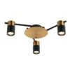 TACHE: Interior Spot Ceiling Lights (with Adjustable Black & Antique Brass Heads) IP20 -Home Furnishings Store TACHE4