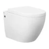 Voghera Rimless Wall Hung White Toilet Pan With Cistern