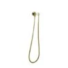Pentro Brushed Yellow Gold Round Shower Holder Wall Connector & Hose -Home Furnishings Store sr31 n.04
